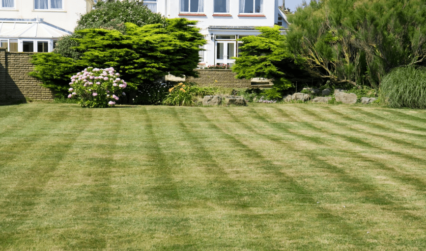 LAWN CARE